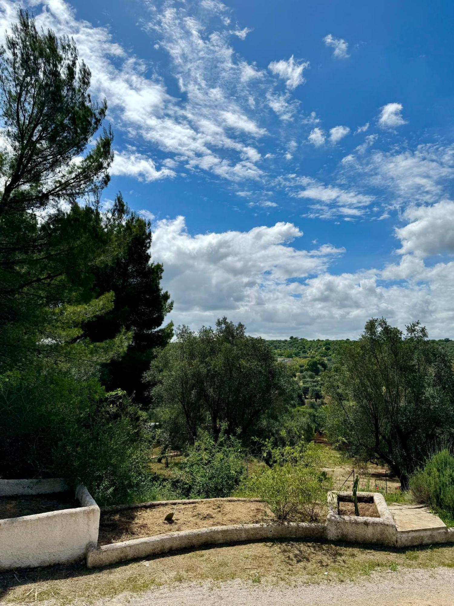 Casa vacanze Trulli Nel Bosco Itria Valley *
